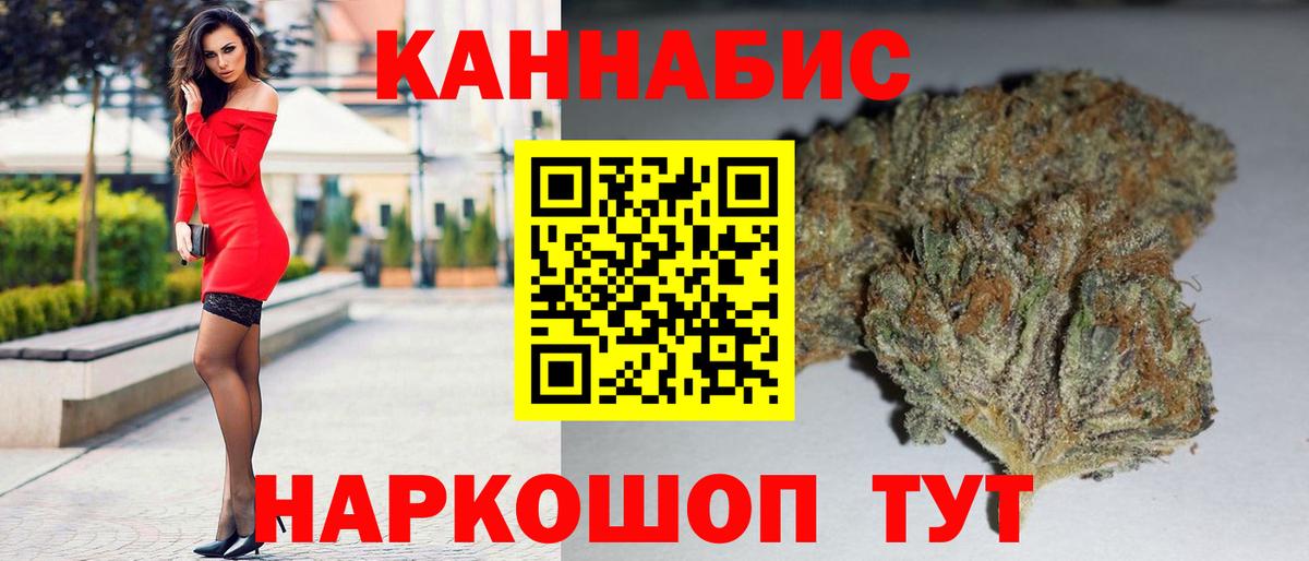 Конопля гибрид Михайловск